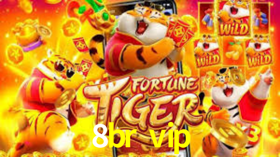 Interface do App 8br vip